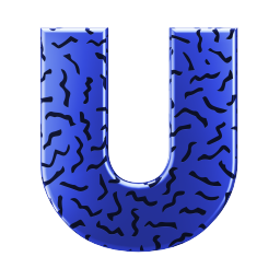 Universiteit van Nederland