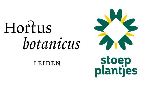 Hortus botanicus Leiden