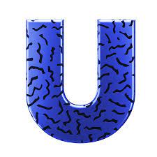 Universiteit van Nederland