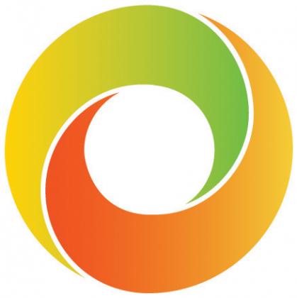Dutch Institute for Fundamental Energy Research (DIFFER)