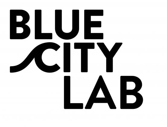 BlueCity Lab