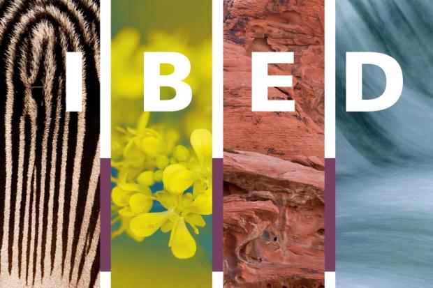 Institute for Biodiversity and Ecosystems Dynamics (IBED)