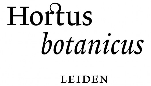 Hortus Botanicus Leiden